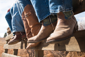 Những câu hỏi thường gặp